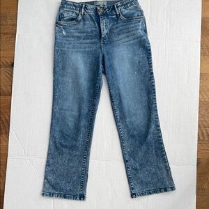 Wit & Wisdom Straight Leg Blue Jeans